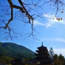 금왕빌리지 | [일상수다]속리산여행.솔향공원,법주사,황토빌리지.브라더꽈배기