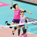 흥국생명 이미지