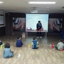 용인대 신성 태권도장 네이버블로그