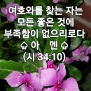 달리다굼 이미지