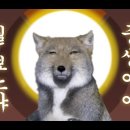 본컬렉션