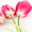 주관한의원 이미지