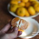 생규농장 이미지