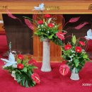 만수1동-2 이미지