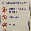 코코여성사우나 | [일본] 삿포로 3박 4일 여행 1일차 코스 추천(2):오도리공원, 세이코 마트, JR 타워, 스카이리조트 스파