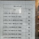 곰스포츠 | 스타벅스 스포츠 베어리스타 키체인 곰인형 구매 실패와 성공후기