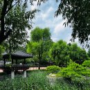 샘물 작은도서관 이미지