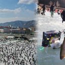영양택시(명) 네이버블로그
