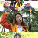 머리향기 이미지