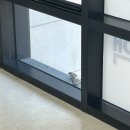 마리이비인후과의원 이미지