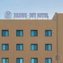 브라운 도트 이미지