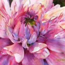 컬러풀 수채화 이미지