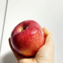 반아래상회