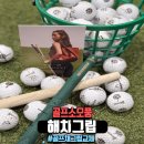 제임스짐JS | 여성골프채 골프그립추천 해치골프 남성골프채 교체후기