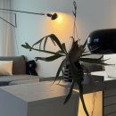 로코코블랑 | 맛도리 도쿄여행 - 3,4일차 ( 스시유우, 스트리머커피, Yoshi, Hotokuan, 닛코, 이치란)