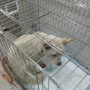 공간 -모정 이미지