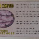 춘양능이백숙