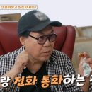 [종편] 조영남 &#34;전처 윤여정과 통화하고파... 묻고 싶은 것 있다&#34; 이미지