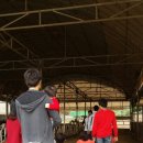 건우목장 이미지