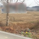 오송3산단공인중개사사무소 이미지