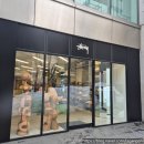 등임 | 북해도 여행 삿포로 파타고니아 스투시 위치 가격 쇼핑 후기 등