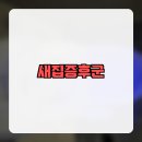 청소24
