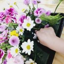 구리초등학교(병설) 이미지