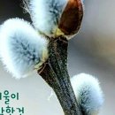 봄을 그리며 이미지