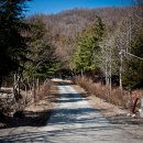 제383차 12월25일 광주 무등산 (1,186M) 정기산행 이미지