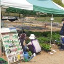 자선종묘사 이미지