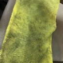 때미리디테일링 이미지