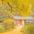 도리 경로당 이미지