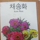 채송화농장 이미지