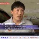 오토피아자동차정비공업사 이미지