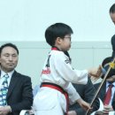 한양대탑수정태권도 이미지