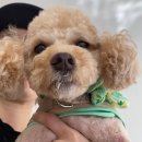 WITH DEW(윗듀) 이미지