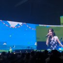 25.5.16 이세계 뮤직 페스티벌🎆