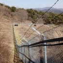 태청산 편백나무숲 트레킹길 이미지