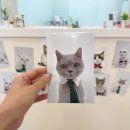 소나캣 이미지