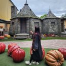 하늘오두막 | 일본 도쿄 : 해리포터 스튜디오 방문후기 2탄 / 해그리드 오두막, 하늘을 나는 자동차, 나이트 버스...