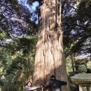 대마도1박2일 이미지