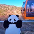 제이엠케이하동1발전소 | 하동 금오산 케이블카 겨울 여행지로 딱이야