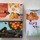 롯데 제주공항면세점 | 제주공항 면세점 쇼핑 후기 | JDC 면세점 제주 기념품 추천