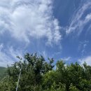 게스트하우스 덕산터 | 덕산터 게스트하우스 완전정복기 (마지막이야기)