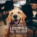 엘약국 이미지