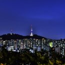 응봉산 Daum카페