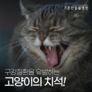 정평동물병원 이미지