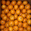 대보농장 이미지