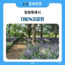 남산녹지공원 축구장 | 맥문동 꽃길 따라 걷는 힐링 시간 대방녹지공원