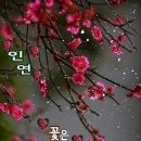 동신침구 네이버블로그